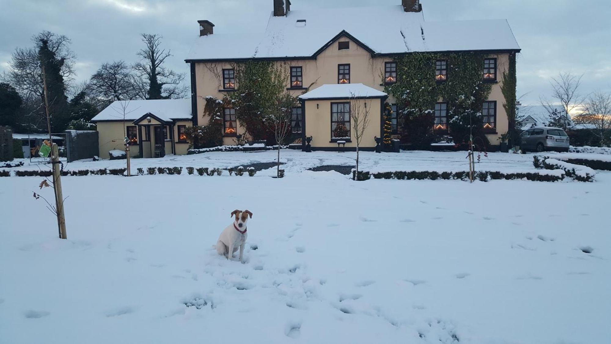 Charlotte'S Way B&B Banagher Εξωτερικό φωτογραφία